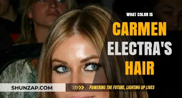 Carmen Electra's Hair Color Transformation