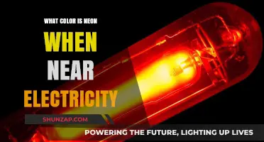 The Science Behind Neon's Electric Glow