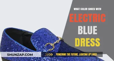 Blue Dress, Shoe Color: A Guide to Perfect Pairing