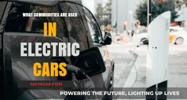 Key Commodities Powering the Electric Vehicle Revolution: What’s Inside?