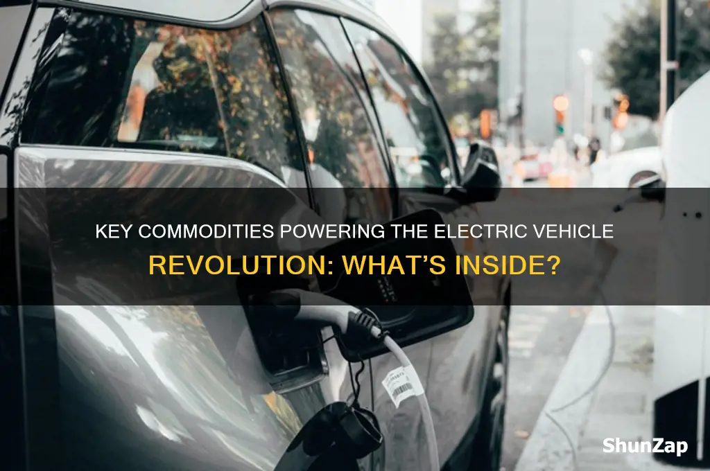 what commodities are used in electric cars