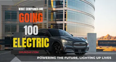 The Race to Electrify: Which Companies Are Going All-In?