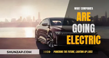 Electric Revolution: Companies Embracing the Electric Future