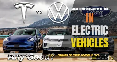 The Electric Revolution: Key Players in the EV Industry