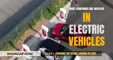 Electric Vehicle Revolution: Powering Companies Forward