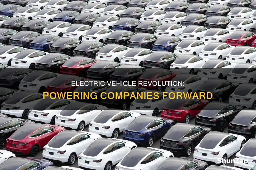 what companies are involved in electric vehicles