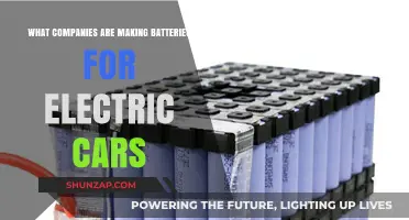 Top Electric Car Battery Manufacturers Powering the EV Revolution