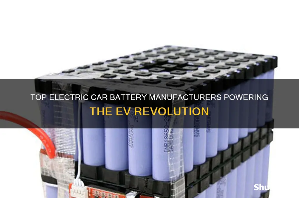 what companies are making batteries for electric cars