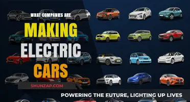 Leading Companies Revolutionizing the Electric Car Industry Today