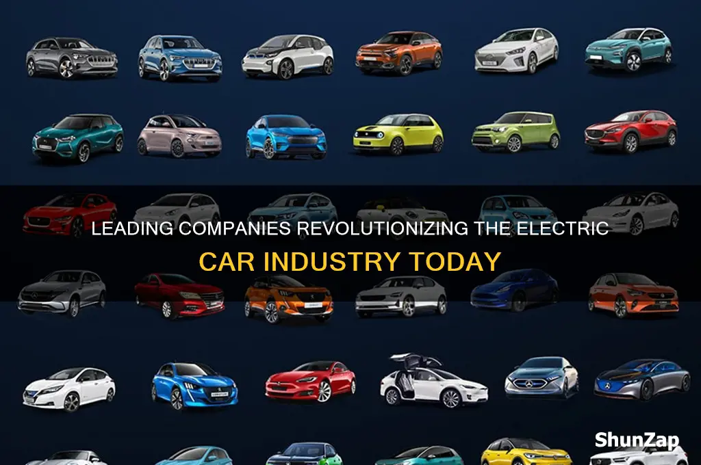 what companies are making electric cars