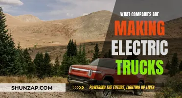 Electric Truck Revolution: Companies Leading the Charge