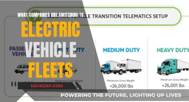 Electric Revolution: Companies Embracing the Future with EV Fleets