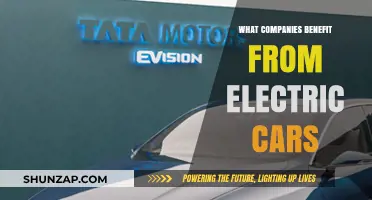 Electric Cars: Boosting Profits for These Key Industries and Businesses