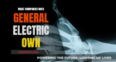 General Electric's Subsidiaries: Who and What They Own