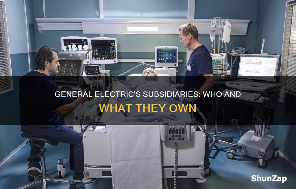 what companies does general electric own