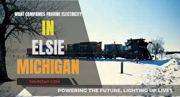 Electricity Providers in Elsie, Michigan: Who Powers the Town?