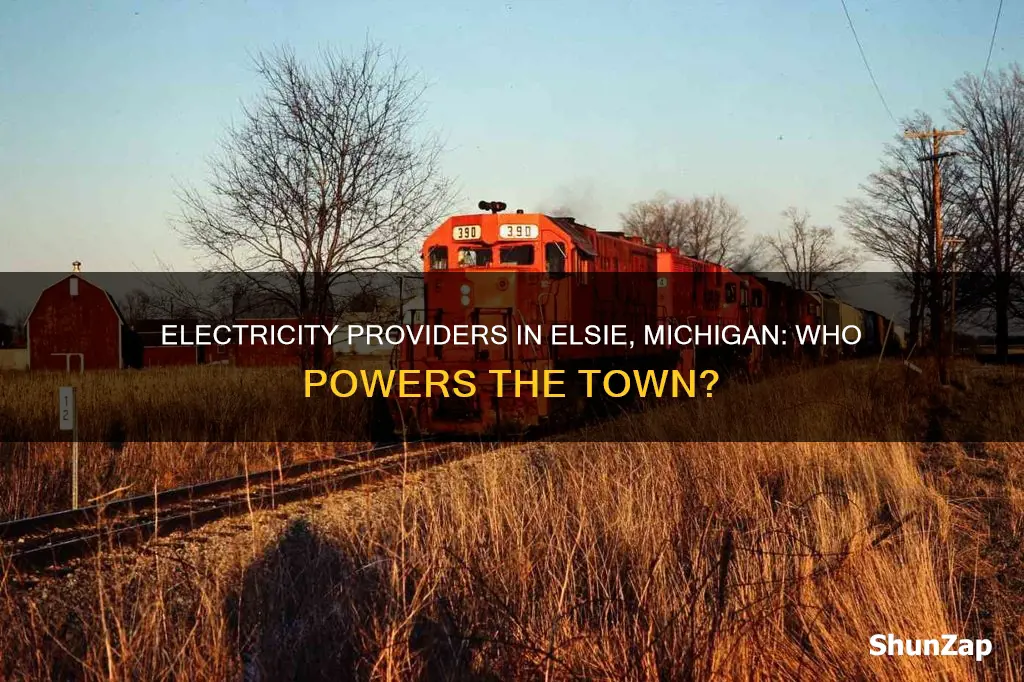 what companies provide electricity in elsie michigan