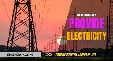 Electricity Providers: Who Powers Your Home and Business?