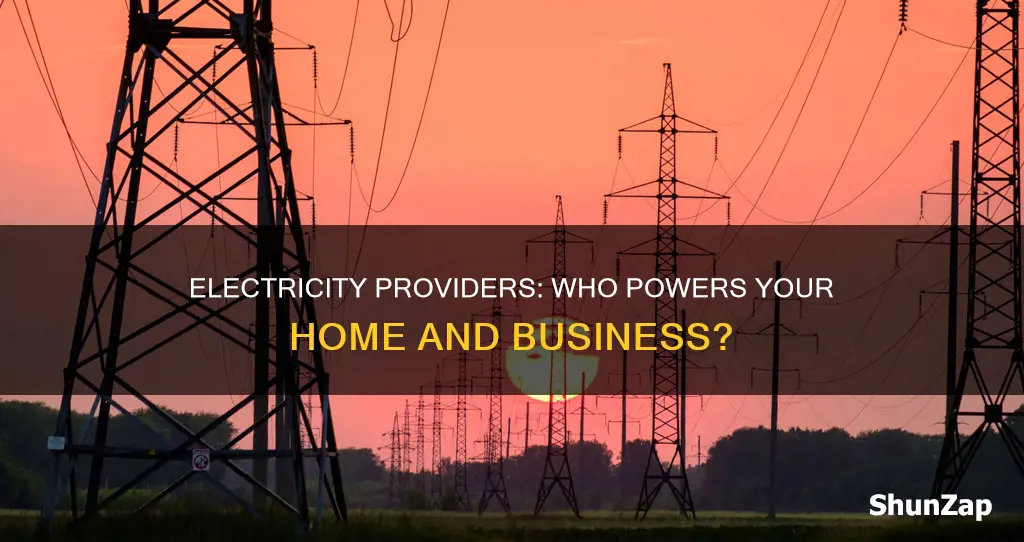 what companies provide electricity