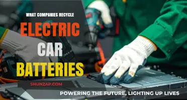 Recycling Electric Car Batteries: Top Companies Leading the Green Charge
