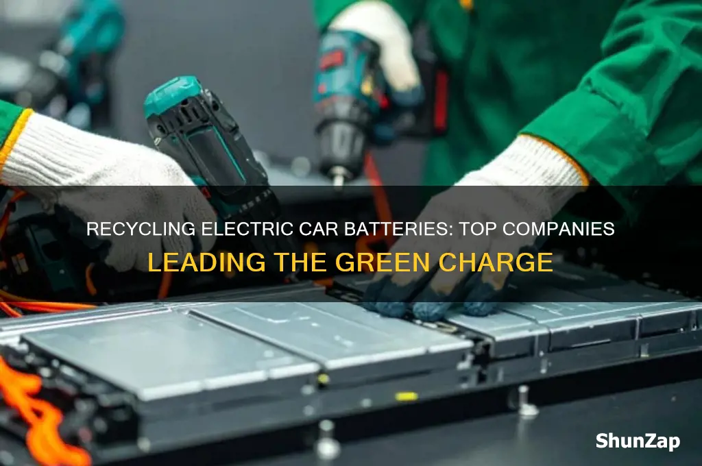 what companies recycle electric car batteries