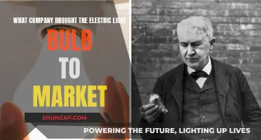 The Electric Light Bulb: A Company's Market Innovation