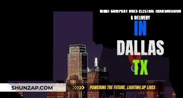 Electric Transmission and Delivery: Who Powers Dallas?