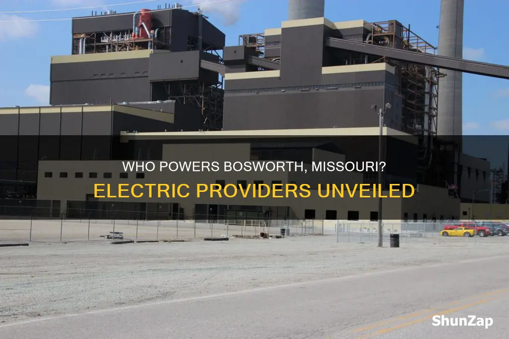 what company does the electric for bosworth missouri
