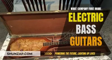 Who Pioneered the Electric Bass Guitar?