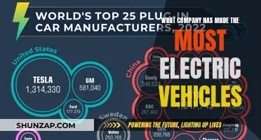 The Electric Car Leader: Who's Topping the EV Race?