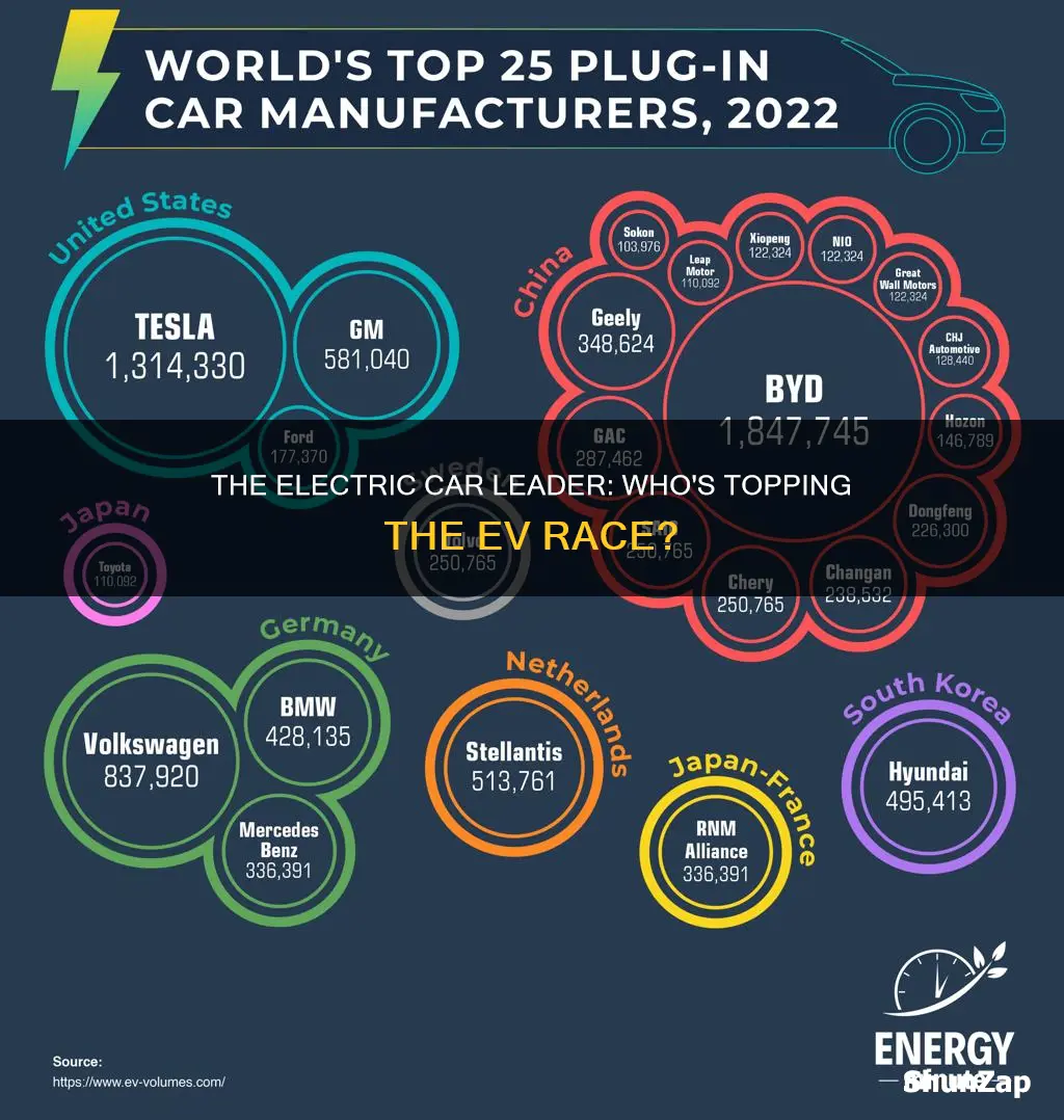 what company has made the most electric vehicles