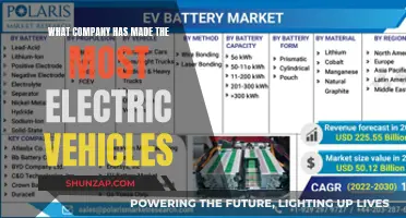 Who's Leading the Electric Vehicle Revolution?