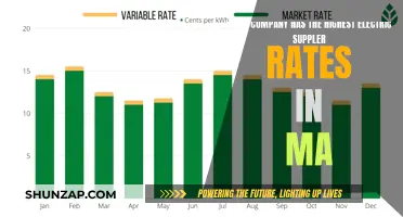 Electric Supplier Rates: MA's Highest-Charging Company