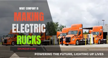 Who's Revolutionizing the Trucking Industry with Electric Rigs?