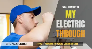 Electric Providers: Knowing Your Electricity Company
