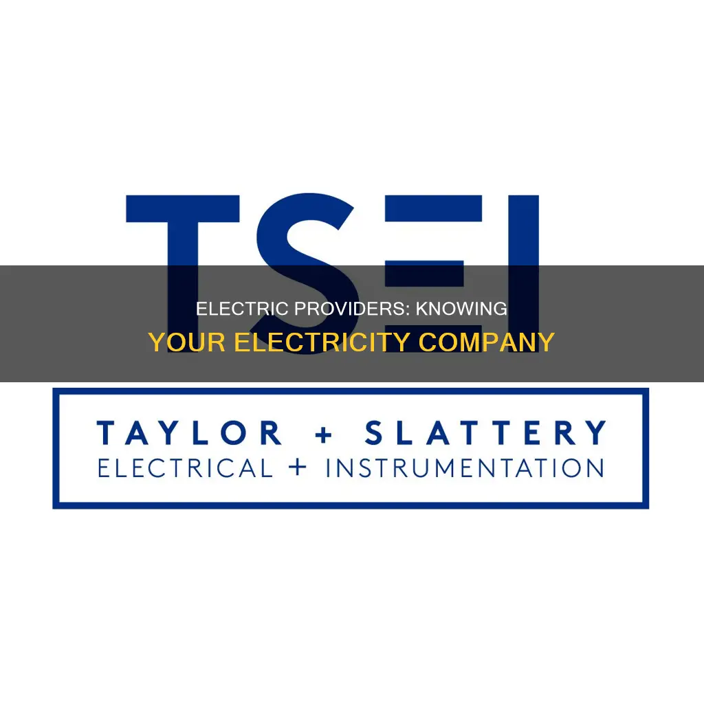 what company is my electric through