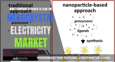 Nanocrystal Electricity: Who Will Lead the Market?