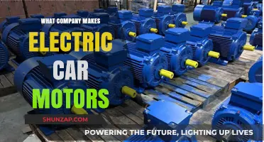 Who Powers Electric Vehicles? Top Companies Behind EV Motors