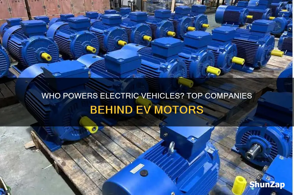 what company makes electric car motors
