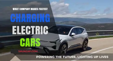 Which EV Manufacturer Offers the Fastest Charging Electric Cars?