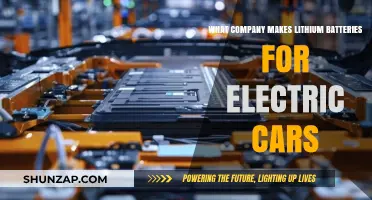 Who Powers Electric Vehicles? Top Lithium Battery Manufacturers Revealed