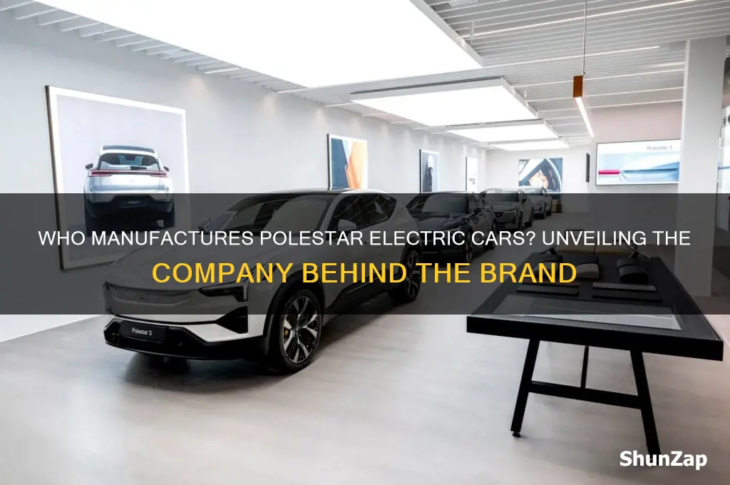 what company makes polestar electric cars