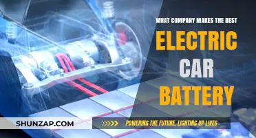 Top Electric Car Battery Manufacturers: Who Powers the Best EVs?