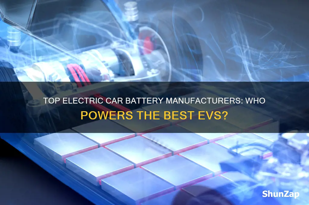 what company makes the best electric car battery