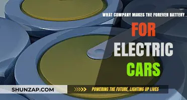 Revolutionizing Electric Vehicles: Who Creates the Forever Battery for EVs?