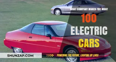 Leading the Charge: Which Company Dominates 100% Electric Car Production?