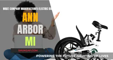 Electric Bike Manufacturing in Ann Arbor: Who's Leading the Way?