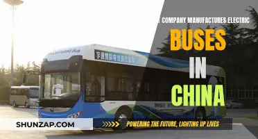 Electric Bus Manufacturers in China: Who's Leading the Pack?