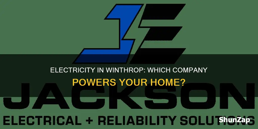 what company offers electric in winthrop