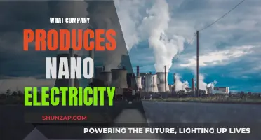 The Future of Nano Electricity: Company Innovations